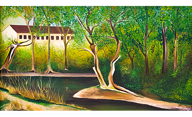 Nature Preserve